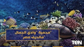 صباح الورد - محمية 