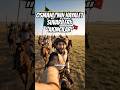 OSMANLI'NIN HAYALET SÜVARİLERİ: "AKINCILAR" #pov #aivideo #history #osmanlı #tarih #ottomanempire