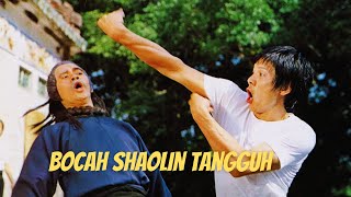 Shaolin's Tough Kid (Bocah Shaolin Tangguh) - NFG Channel