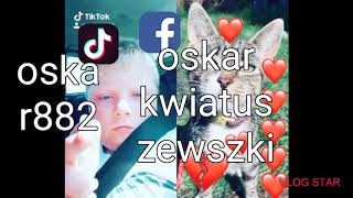 Tik tok kot