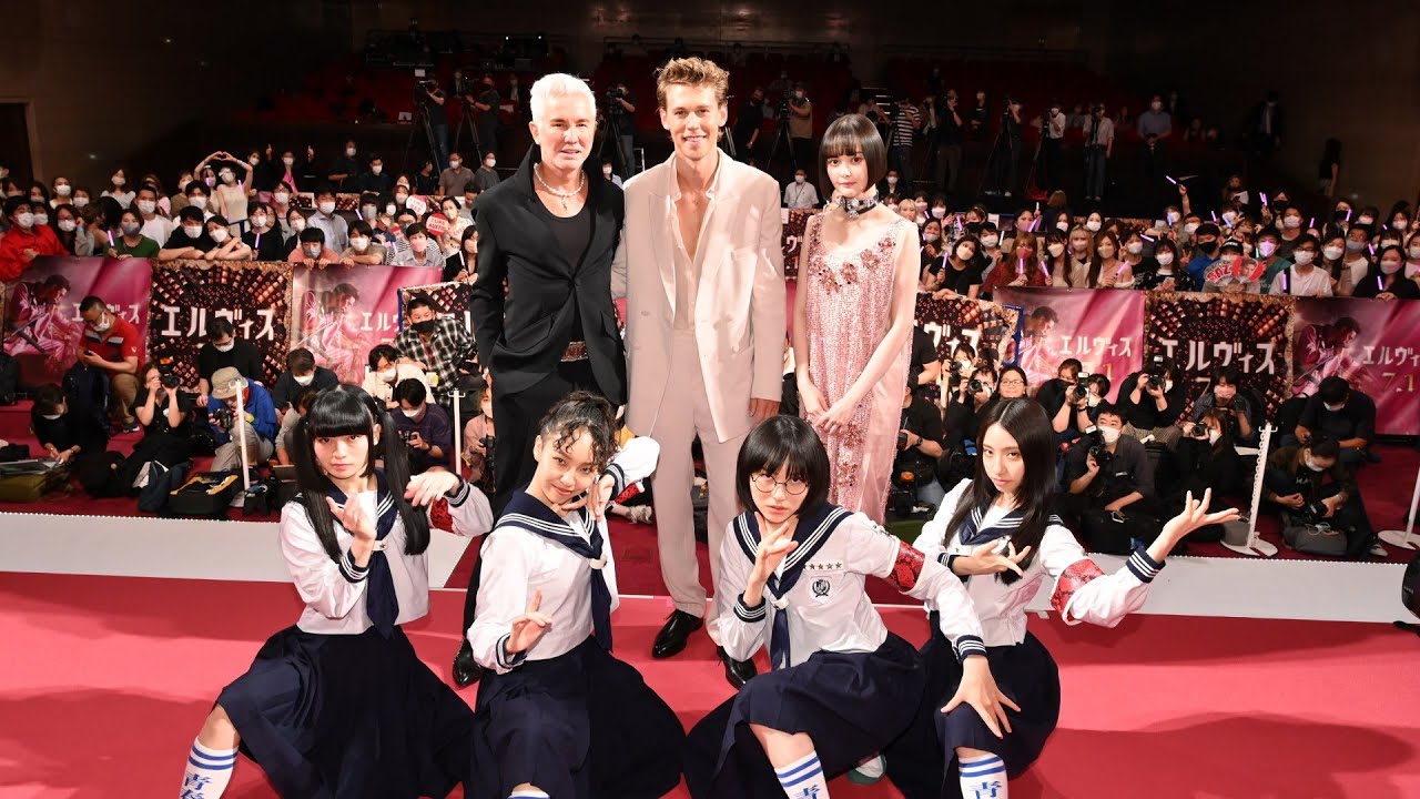 (レア)映画パンフレット　「嵐の季節」　エルヴィス・プレスリー backend=imagemagick;version=1;