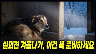 겨울철 실외견 건강관리, 반드시 준비해야 할 7가지ㅣ마당에서 키우는 강아지 겨울 생존 기준ㅣ 실외견 겨울준비물