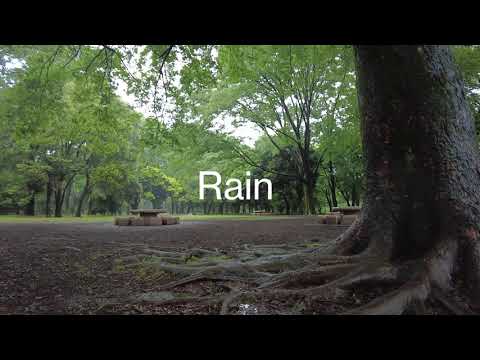 ASMR　日本の公園に降る雨音　不眠症を克服　ストレス解消　仕事・勉強に集中