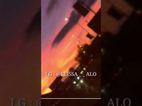 فاكر يا حبيبي بيوم اليسا حالات واتس اب ستوريات انستغرام