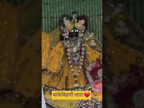 2 सितंबर बांके बिहारी के भव्य दर्शन जरूर करें #viral #trending #motivation #shortvideo