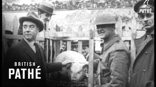 George Robey Cbe (1914-1918)
