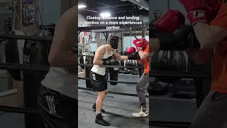Pressure fighting spar #boxing #ufc #muaythai #sparring #mma #viral #kickboxing #ko #knockout #fyp