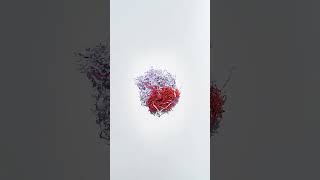 Famous Thaely Y2K Pro Shadow Black - 100% Recycled & Vegan Profile