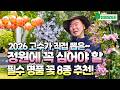 정원에 심으면 평생후회없는 2026 고수가 직접 뽑은 필수 명품 꽃 8종 추천! Mp3 Song