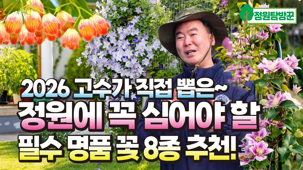 정원에 심으면 평생후회없는 2026 고수가 직접 뽑은 필수 명품 꽃 8종 추천!