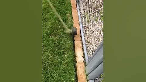 Edging With an Echo String Trimmer(Very Satisfying) #Shorts