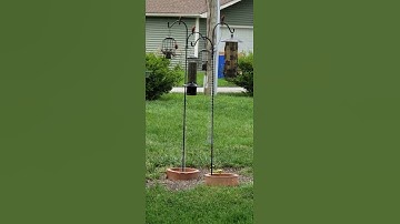 Squirrel Proof Bird Feeder with a Slinky: Busy feeder! #diy #birds #birdfeeder #shorts #nature
