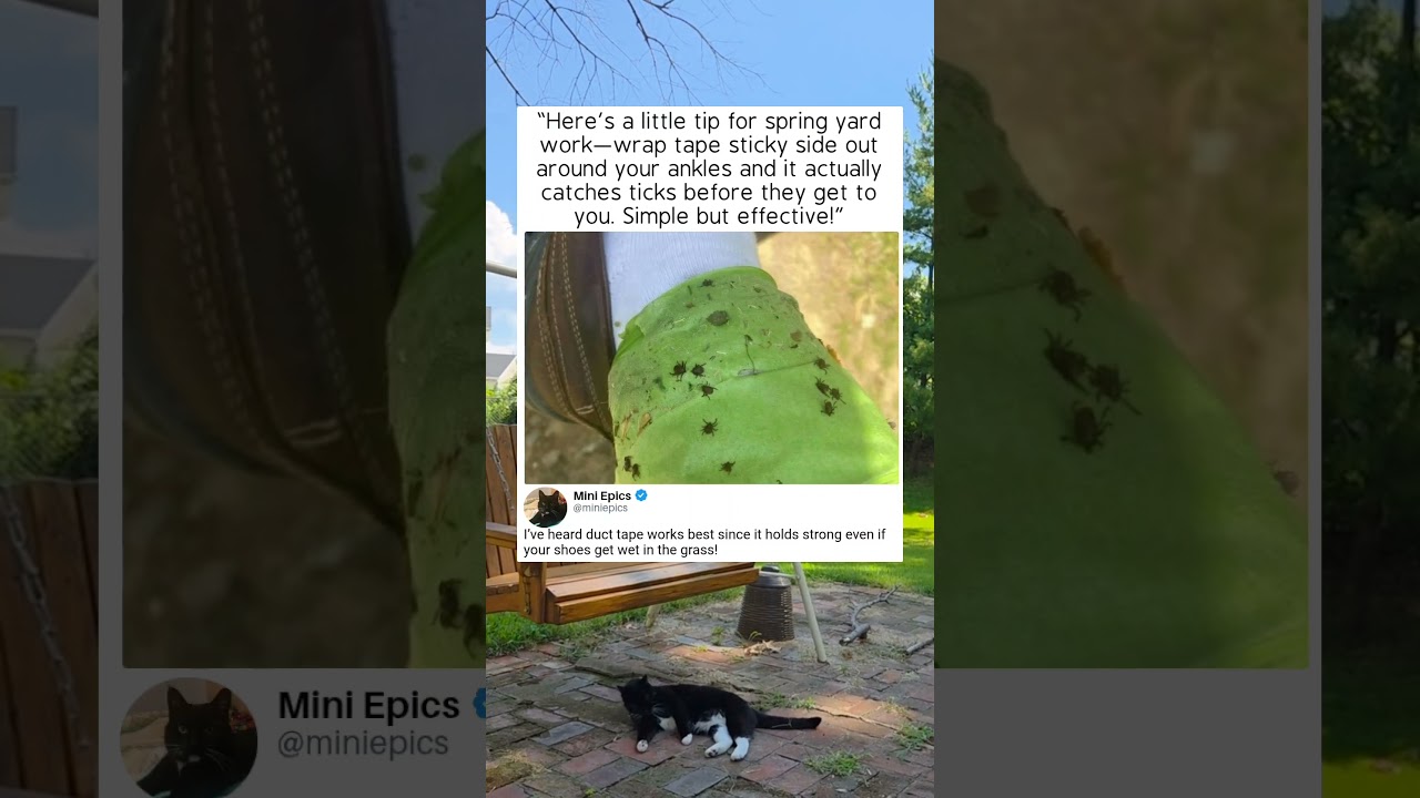 TICK HACK 🦟 Simple Trick That Actually Works 