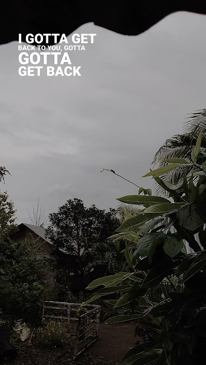 location unknown #shorts  #viral #fyp #status #story #storywa #Honne