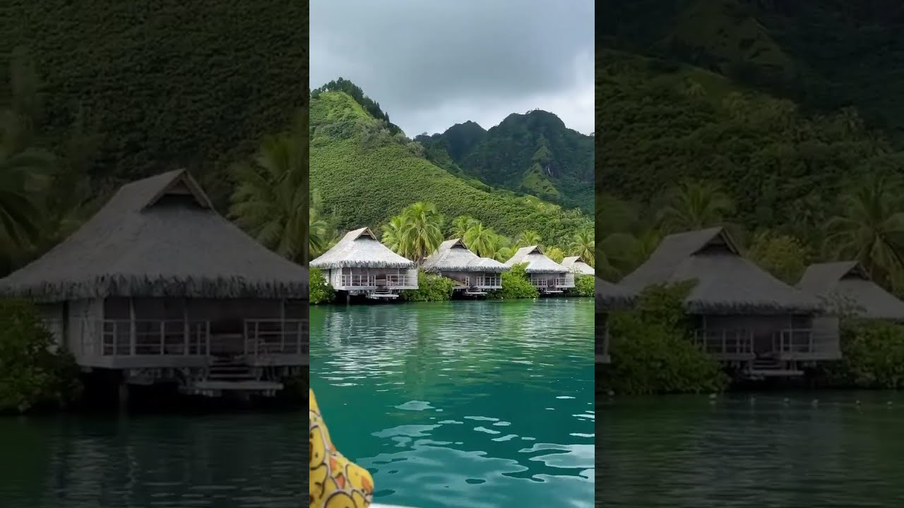 A Day in Moorea, French Polynesia 🇵🇫 | Cruise Port Paradise  #voyageready #travel #cruisetour