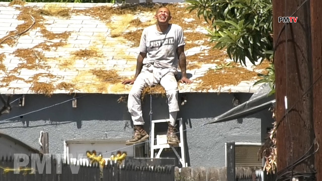 Wanted Murder Suspect On Roof Arrested After 6 Hour Standoff | South LA ...