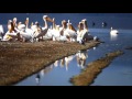 Malaki Safaris Tanzania Malaki Safaris Tanzania