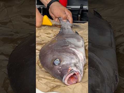 طاجين مغربي بسمكة اللابطيش نكهة متوسطية بطريقة تقليدي     