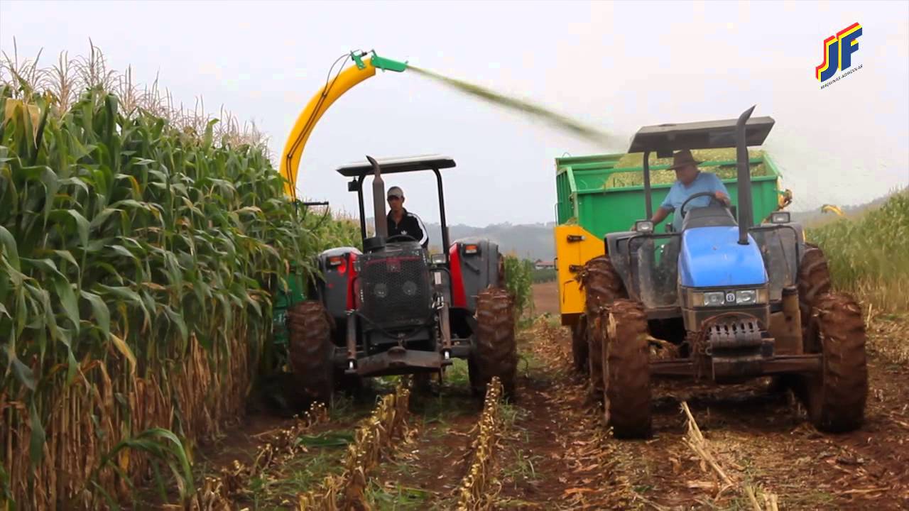Colhedora de Forragem JF C120 - YouTube