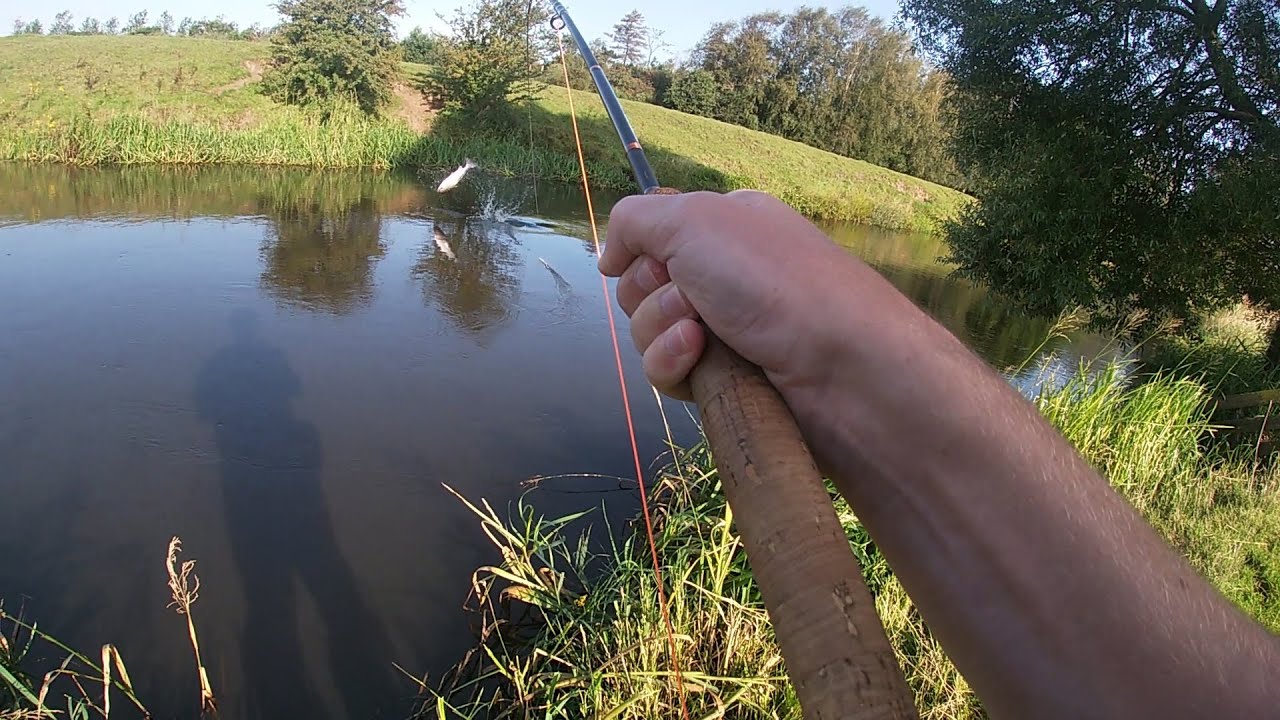 Fluefiskeri efter laks - Flyfishing for salmon. Take og fight. Fluefiskeri i Storåen