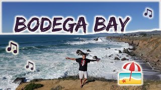 Bodega Bay | California | Where to Travel 2021 | Beach Unique Things To Do In Bodega Bay
