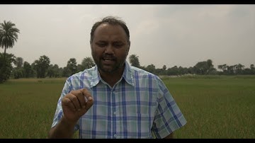 International Discipleship Update