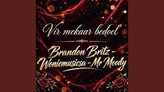 Vir mekaar bedoel (feat. woniemusicsa & Mr moody)