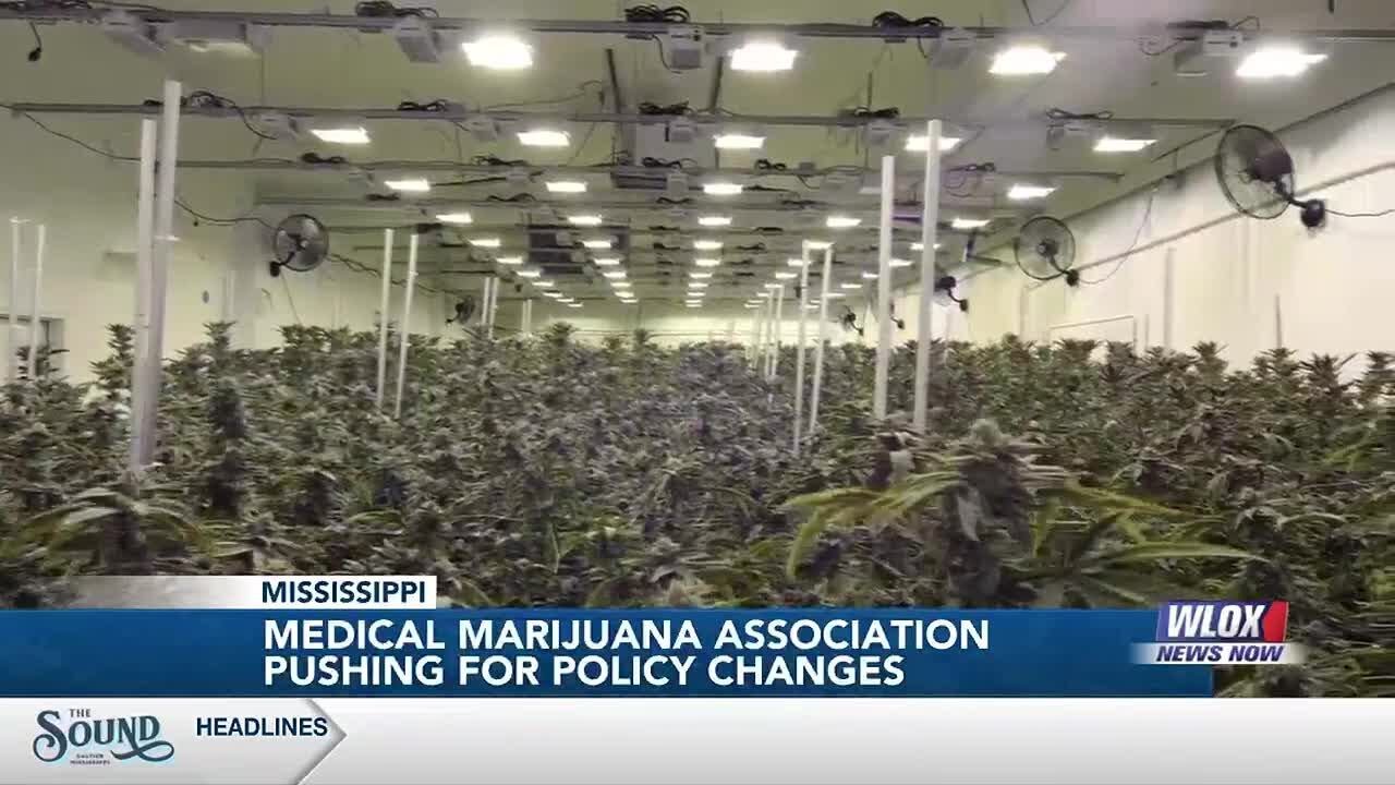 Mississippi Medical Marijuana Association pushing for policy changes