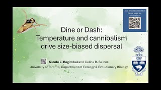 Dine or Dash: Temperature and cannibalism drive size-biased dispersal (BES 2025)