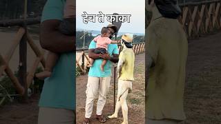 मश दणर दवगडतल कक