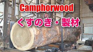 くすのきの製材です。Camphorwood.