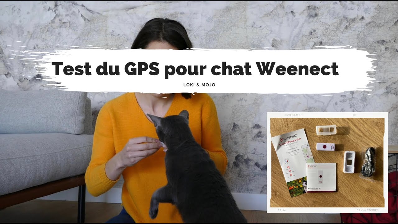 On a testé : le GPS pour chat Weenect