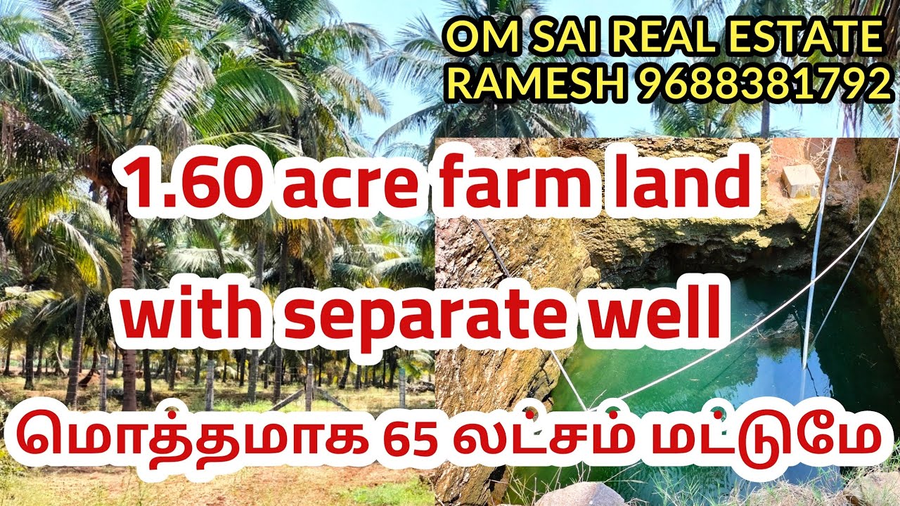 439) 1.60 acre best rate farm land for sale in Pollachi area YouTube