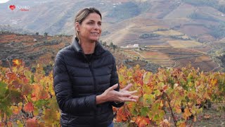 I Love Douro Wines - Sandra Tavares