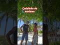 Cadelinha De Madame New Tiktok Trending Dance Philippines 2025 Shorts Dance Tiktok Cadelinha De Madame New Tiktok Trending Dance Philippines 2025 Shorts Dance Tiktok