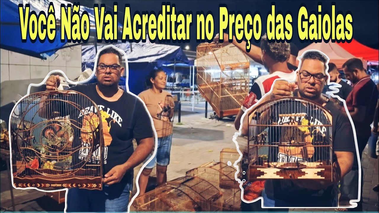 😱 Tudo Sobre os Melhores Preços de Gaiolas na Feira do Cordeiro!