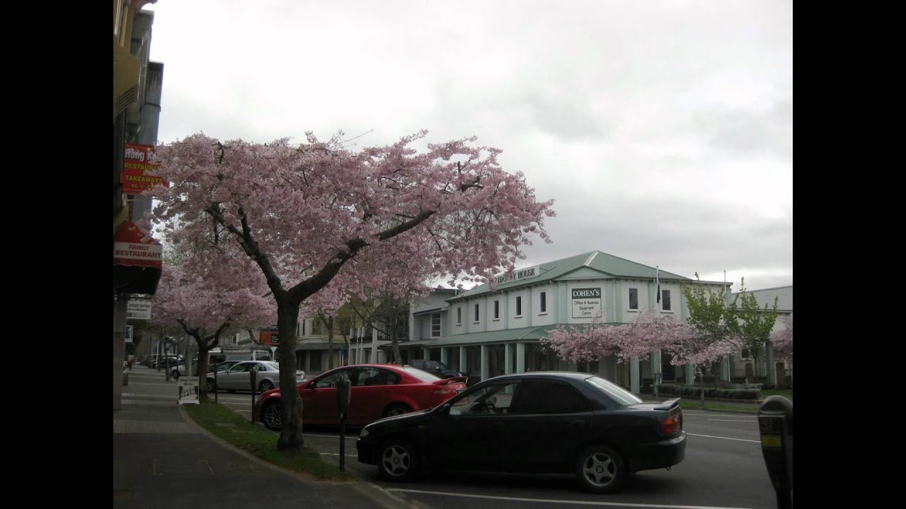Wanganui, Whanganui New Zealand