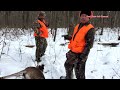 Hunting Gun Deer- Yos Hav zoov Tua Mos Lwj 10/19/2022