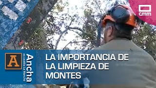 La importancia de la limpieza de montes | Ancha es Castilla-La Mancha