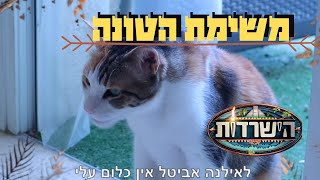 הישרדות שבת בבוקר | משימת הטונה