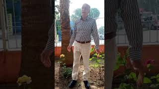 Mesireden çıktım - Gakkoş Visali