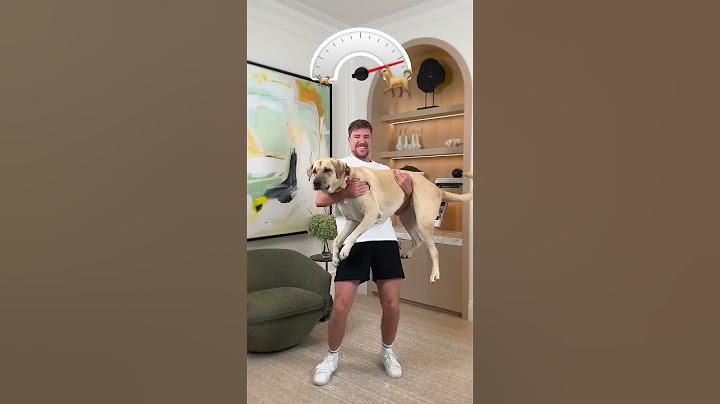 Holding bigger and bigger dongs #holdings #bigger #dogs