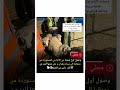 بعد كل من بجاية والجزائر شحنة ضخمة من الكباش تصل إلى ميناء وهران قادمة من رومانيا