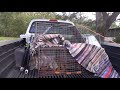 Iguana trapper uses humane methods to deal with South Florida problem