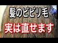 【ビビり毛直す】ビビリ毛をなおす唯一の方法!完全復活!