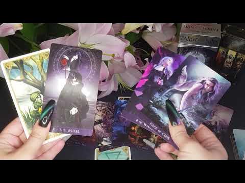 Xenia levi таро. Таро лев сентябрь. Таро леви. Лев таропрогноз сентябрь. Таро леви.