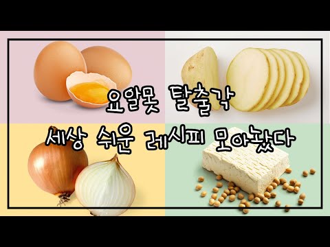 시대 책(Check)｜[4K] 달걀요리부터 감자요리, 양파요리, 두부요리까지 쉬운 레시피만 모았다! ｜홈쿡, 홈쿠킹, 레시피 활용