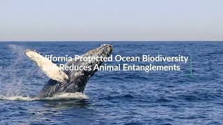 Download Lagu Oceana 2025 Victories MP3