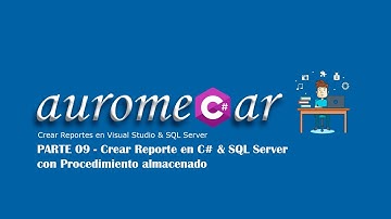 Crear Reportes en Visual Studio & SQL Server - 09. Crear Reporte en Visual Studio C# & SQL Server