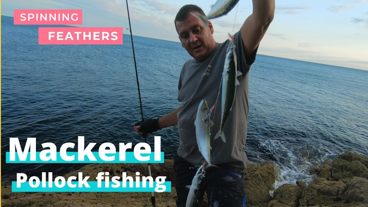 Mackerel and Pollock fishing, sea fishing north wales. YouTube